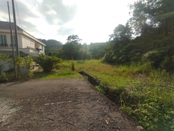 LOT BANGLO FOR SALE SUNGAI MERAB (JALAN ARA)