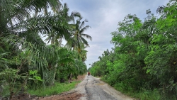 Tanah Pertanian Jalan Pantai Sekendi Kampung Sekendi Sabak Bernam Selangor